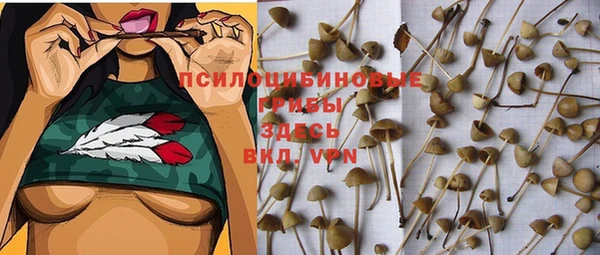 a pvp Михайловск