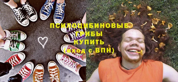 дживик Михайлов