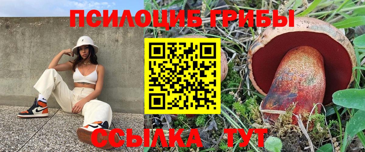 Псилоцибиновые грибы мицелий Троицк