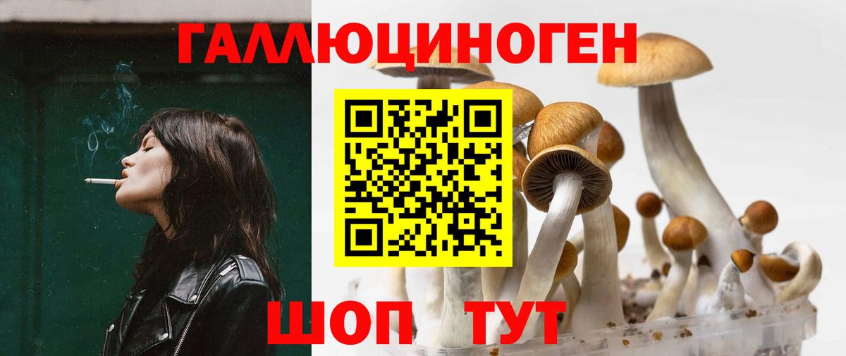 Галлюциногенные грибы GOLDEN TEACHER  Галлюциногенные грибы прущие грибы  купить наркотики сайты  Троицк  Вход с VPN 